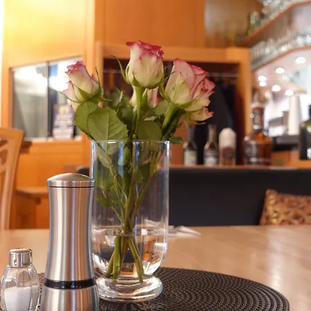 호텔 Am Weiher 에르켈렌츠